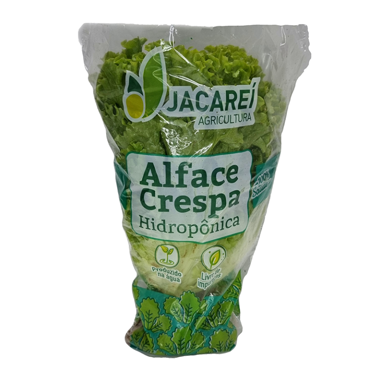 alface-crespa-hidroponica