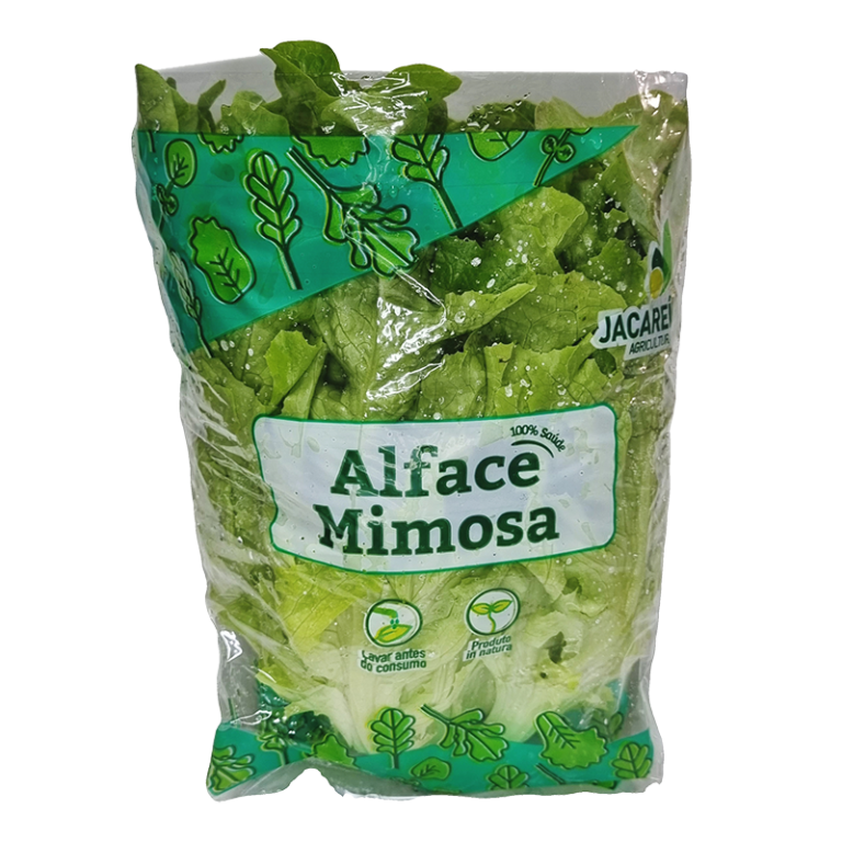 alface-mimosa