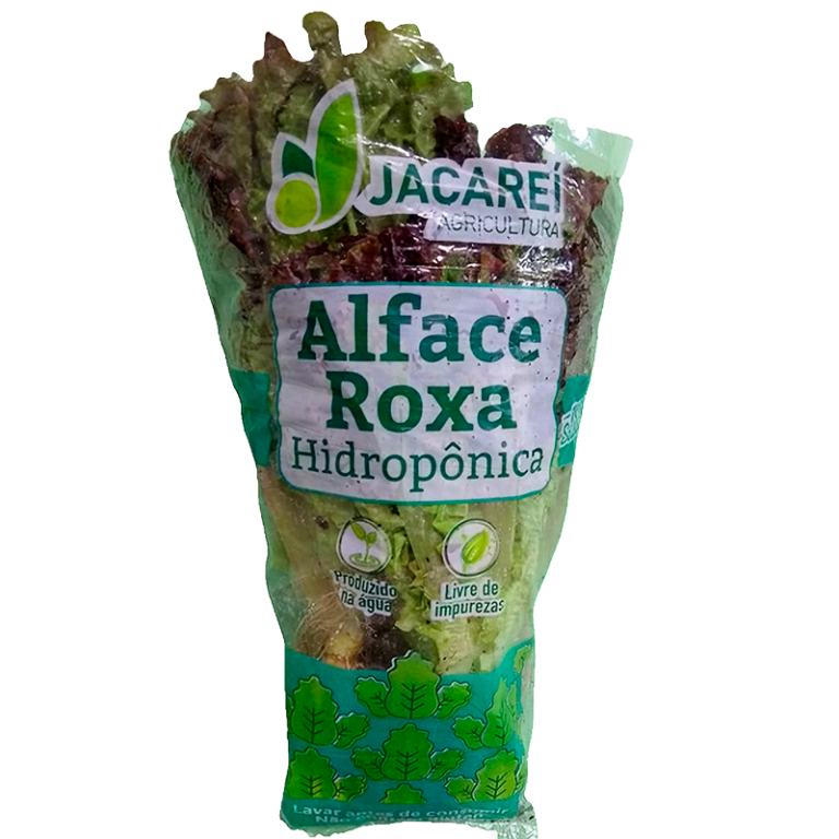 alface-roxa-hidroponica